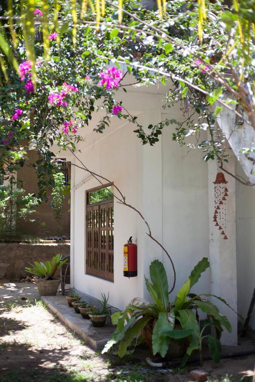 East Surf Cabana Arugam Bay Luaran gambar